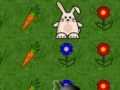 Gioco Bunny Run