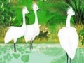 Gioco Fabulous birds in the river puzzle