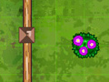 Gioco Garden Match