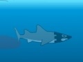 Gioco Medieval Shark