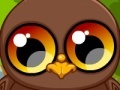 Gioco Cute owl