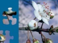 Gioco White Flower Jigsaw