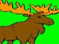 Gioco Deer coloring game