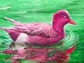 Gioco Red River Duck: Slide Puzzle