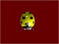 Gioco Dazed Ladybug