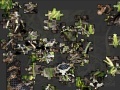 Gioco Snake Jigsaw