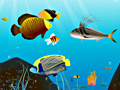 Gioco Water World