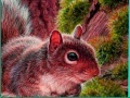 Gioco Nuts And Squirrels: Puzzle