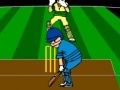 Gioco Virtual Cricket