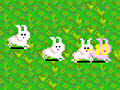 Gioco Bunny Bunny Boom