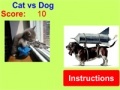 Gioco Cat vs Dog!