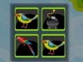 Gioco Bomb Memory-Birds