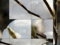 Gioco Winter Puzzle