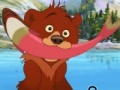 Gioco Brother Bear Spot the Difference