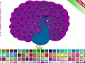 Gioco Peacock Coloring