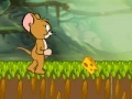 Gioco Tom and Jerry : Cheese Land