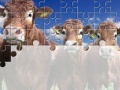 Gioco Gorgeous Cows Jigsaw