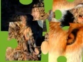 Gioco Jigsaws:Wild Animals 2