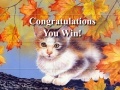 Gioco Art Kittens Puzzles 2