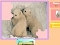 Gioco Twin Polar Bear