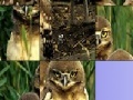 Gioco Owls slide puzzle