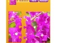 Gioco Bougainvillea Jigsaw