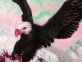 Gioco Wild acrobat eagle puzzle