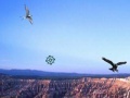 Gioco Bird Kill