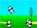Gioco Panda Bounce