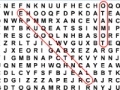 Gioco Word Search