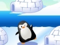 Gioco Find Penguin