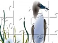 Gioco Sea Bird Jigsaw