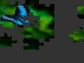 Gioco Butterfly Puzzle