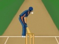 Gioco Super Cricket