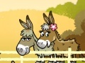 Gioco Mi and my donkey