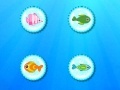 Gioco Color Fish Quest
