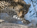 Gioco Leopard Jigsaw Puzzle