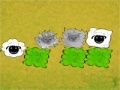 Gioco Run sheep, run!