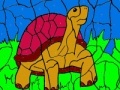 Gioco Turtle and ball coloring