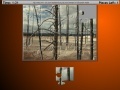 Gioco Burned Trees Moving Jigsaw