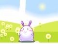 Gioco Rabbit Save The World