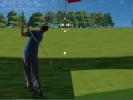Gioco Flash Golf 2