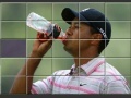 Gioco Tiger Woods