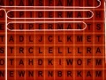 Gioco Word Search Challenge - 114