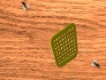 Gioco Fly Swatter