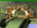 Gioco Lovely squirrels slide puzzle