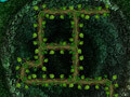 Gioco Root Your Way