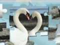 Gioco Valentine Swans