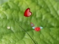 Gioco Hidden Nature Hearts
