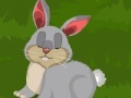 Gioco Dora Rabbit Care